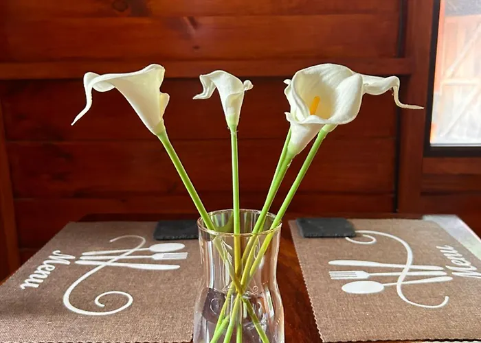 Casa Lora Eco Nature Retreat In Holiday home Bagaces